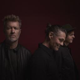 Wildboys Absolute 80s