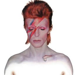 Absolute Bowie - David Bowie Tribute Band